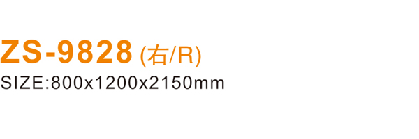 ZS-9828 600.jpg
