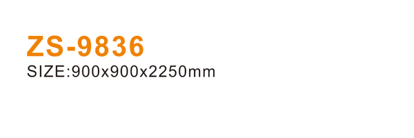 ZS-9836 600.jpg