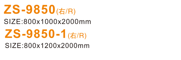 ZS-9850 600.jpg