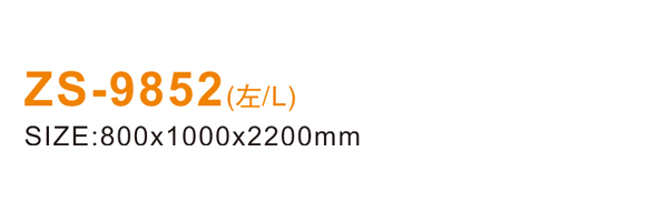 ZS-9852 600.jpg