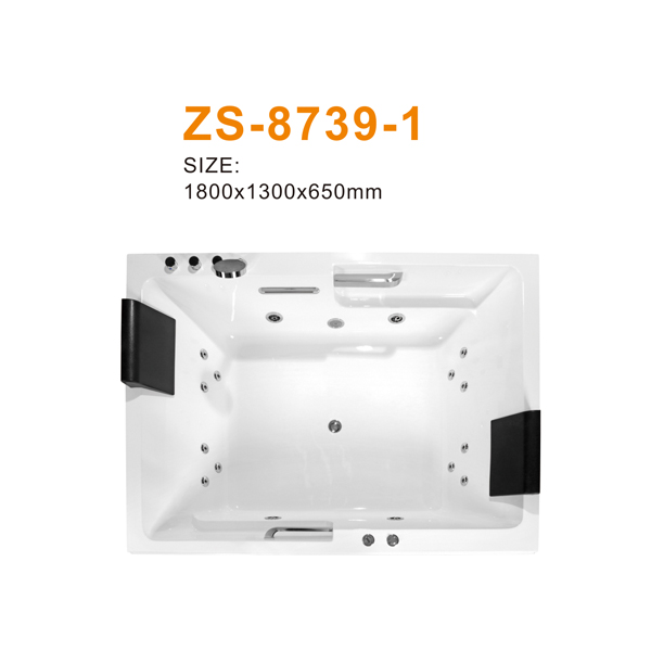 ZS-8739-1 600 .jpg