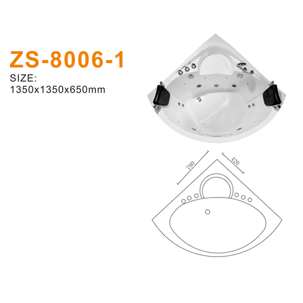 ZS-8006-1 600.jpg