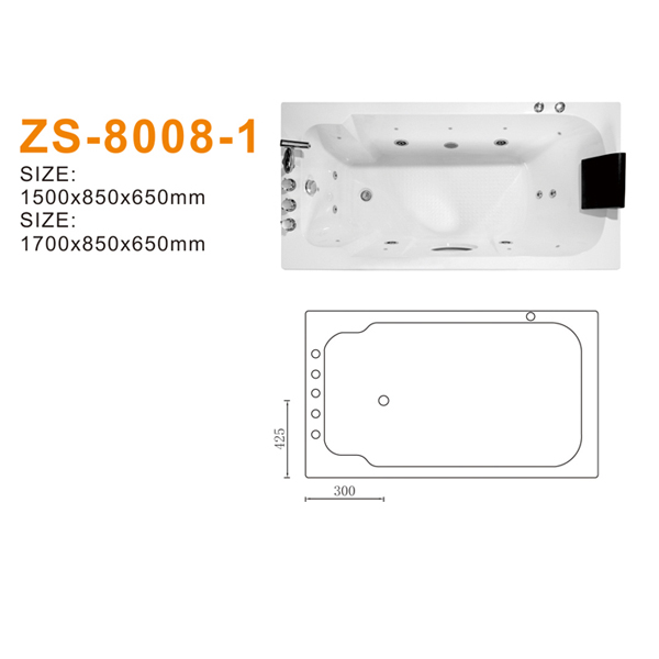 ZS-8008-1 600.jpg