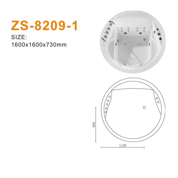 ZS-8209-1 600.jpg