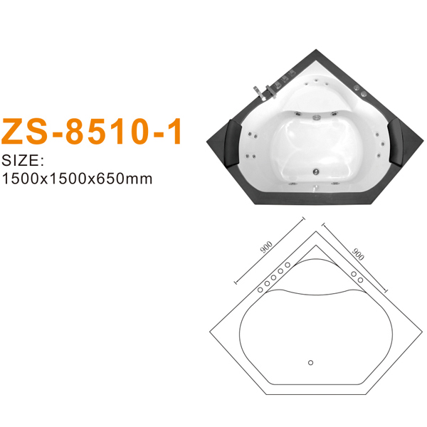 ZS-8510-1 600.jpg