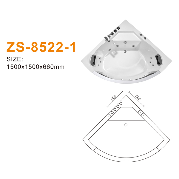 ZS-8522-1 600.jpg
