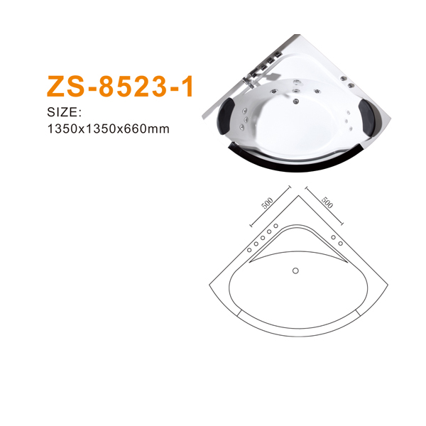 ZS-8523-1 600.jpg