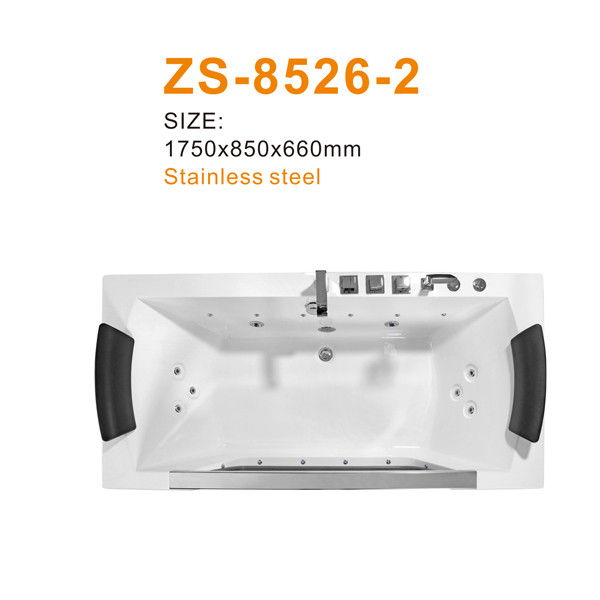 ZS-8526-2 600.jpg