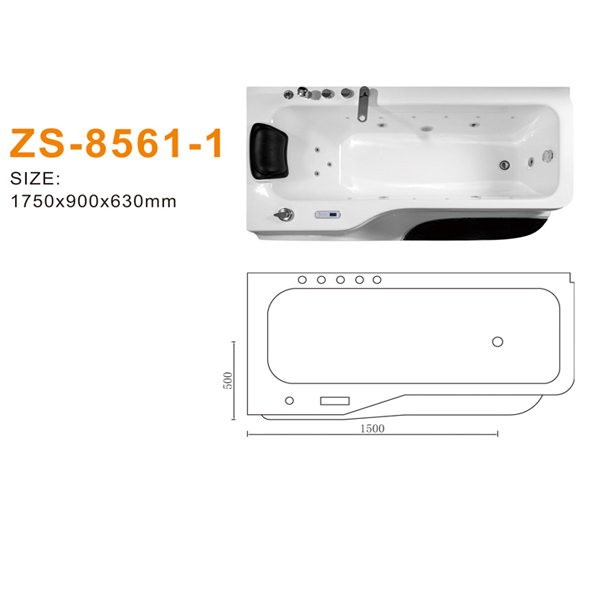 ZS-8561-1 600.jpg