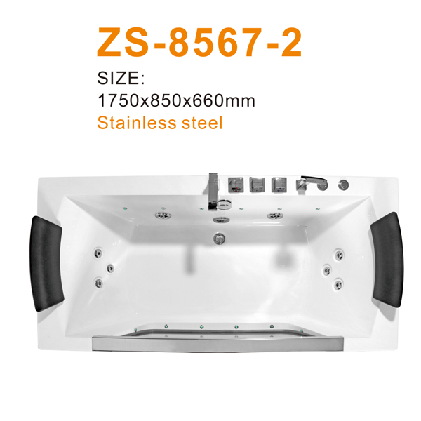 ZS-8567-2 600.jpg