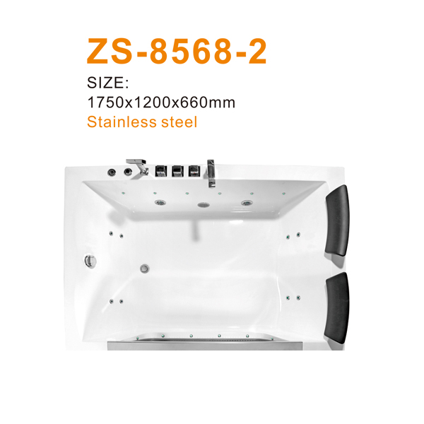 ZS-8568-2 600.jpg