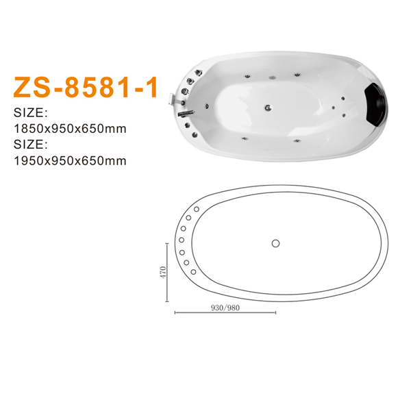 ZS-8581-1 600.jpg