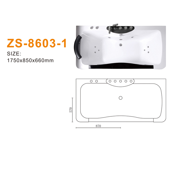 ZS-8603-1 600.jpg