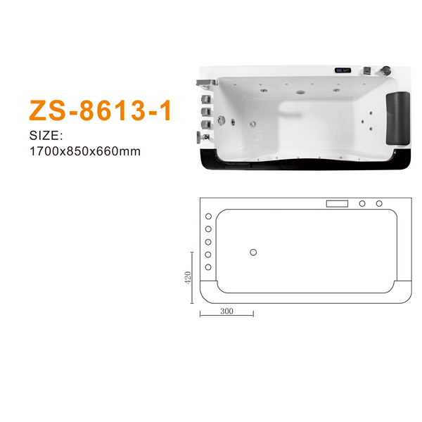 ZS-8613-1 600.jpg